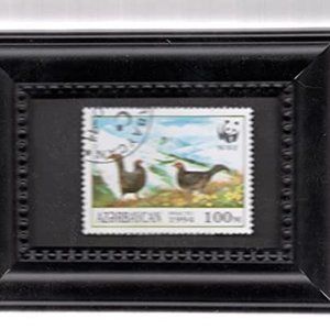 Framed Stamp Art - Caucasian Grouse - Endangered Wild Life